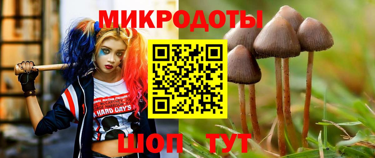 Псилоцибиновые грибы прущие грибы  где купить наркоту  Кизилюрт  Псилоцибиновые грибы ЛСД  Вход с VPN 