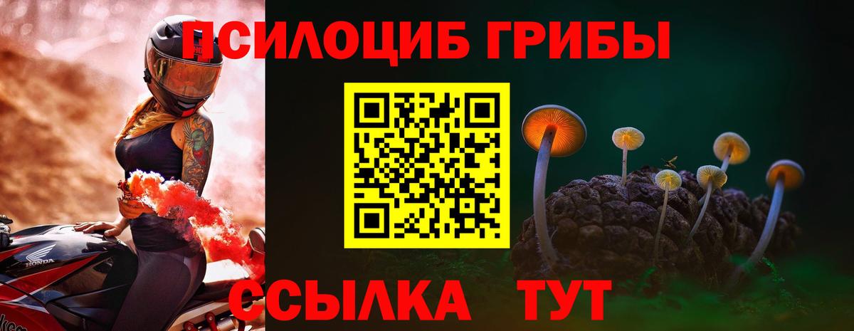 Галлюциногенные грибы мухоморы Кизилюрт